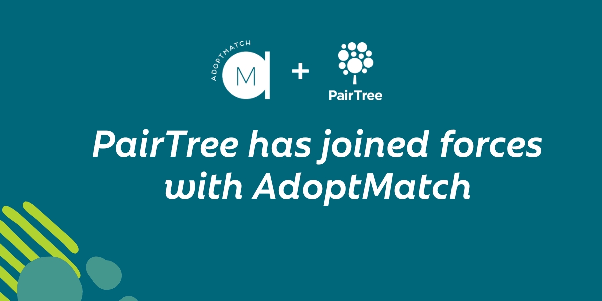 multi column section image