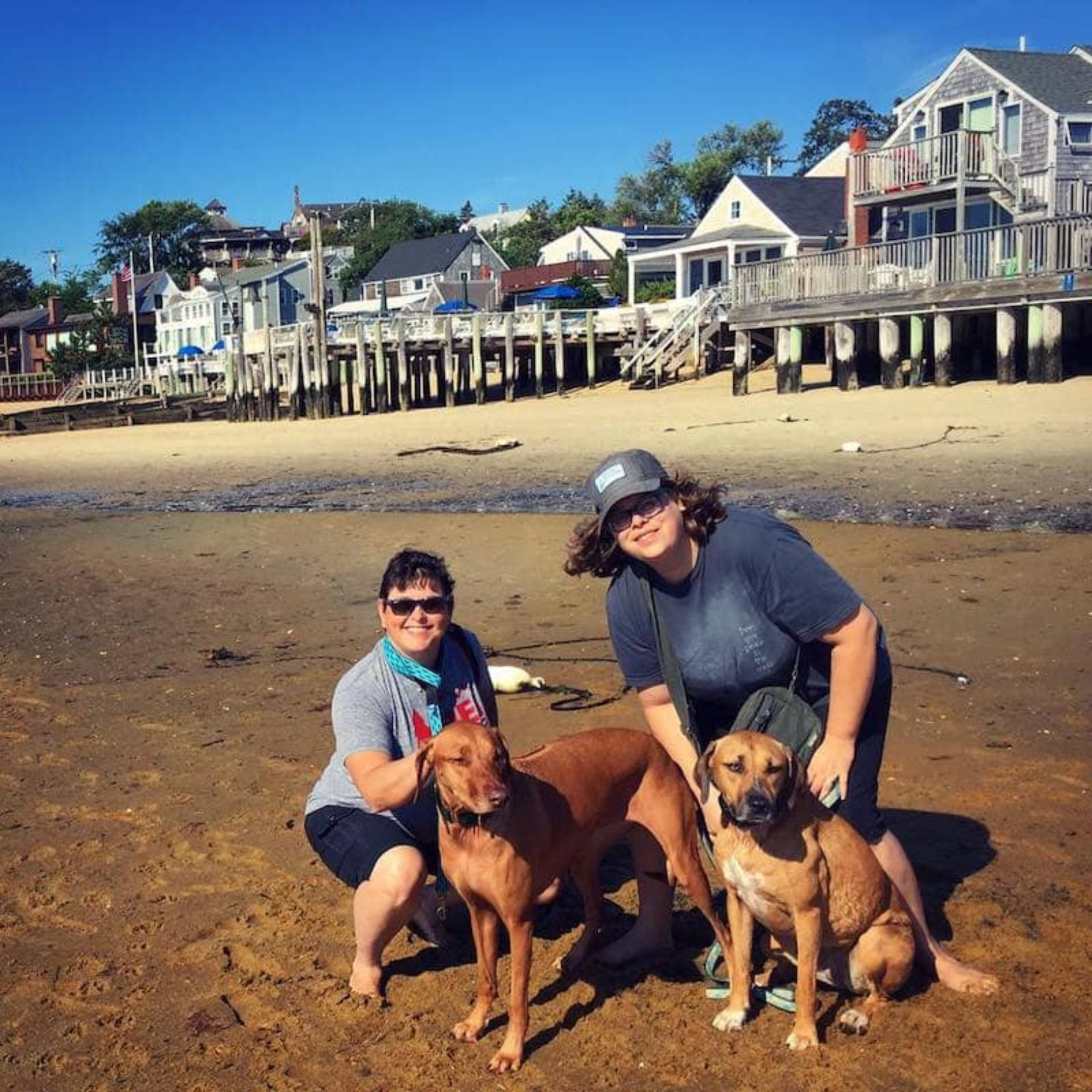 With our beloved pups in Martha's Vineyard