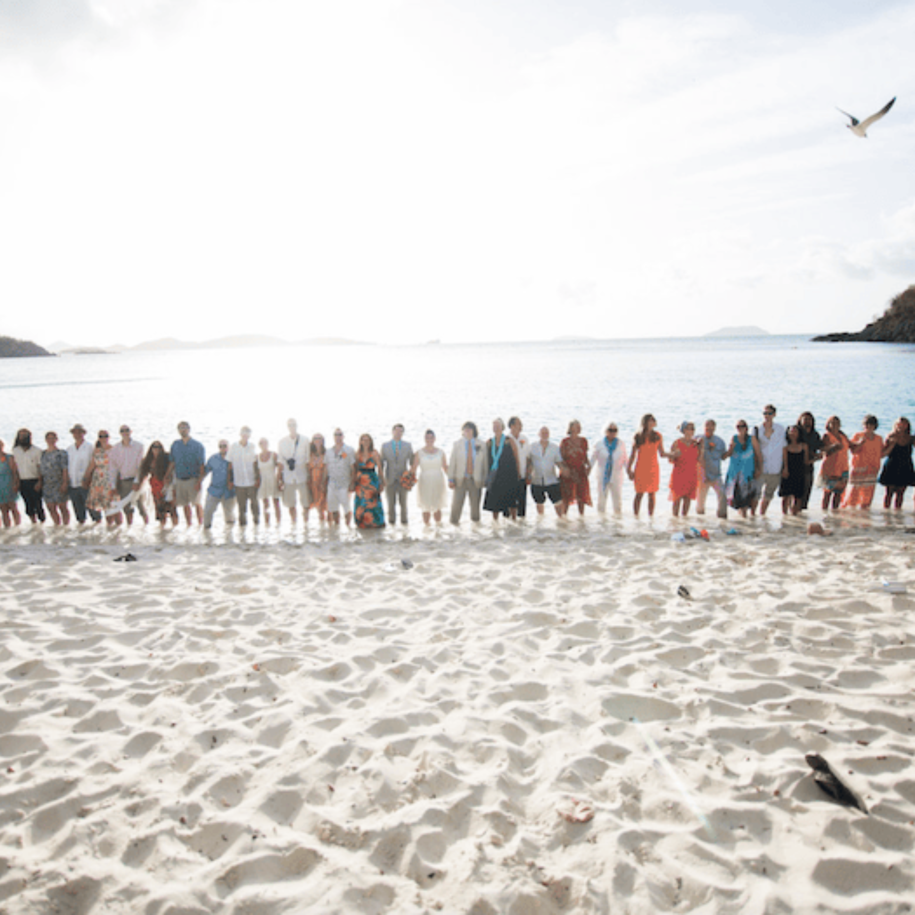 Wedding attendees: over 50 family & friends came to our wedding! <3